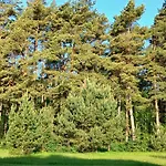 Apartamento By The Baltic Sea Palanga