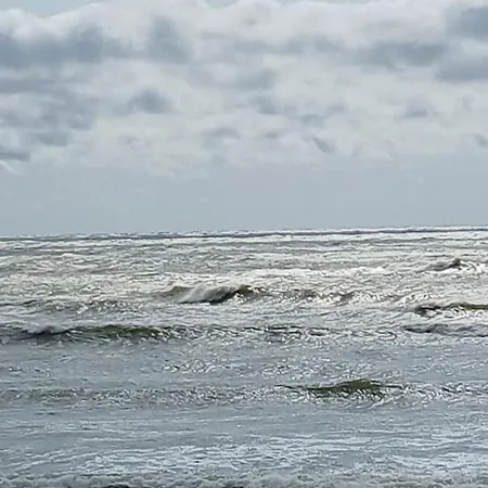 By The Baltic Sea * Palanga