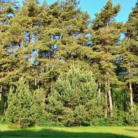 Апартаменти By The Baltic Sea Паланга