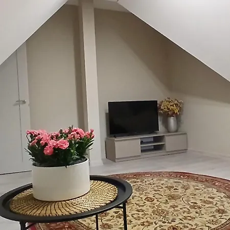 By The Baltic Sea Паланга