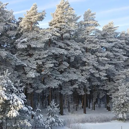 By The Baltic Sea Palanga