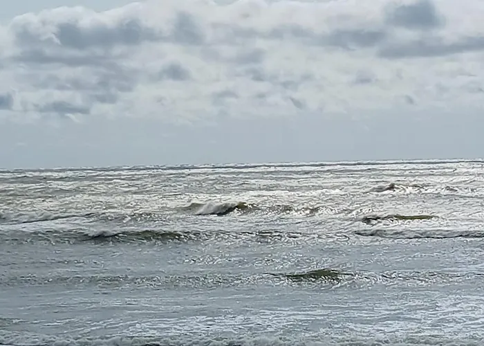 By The Baltic Sea * Palanga