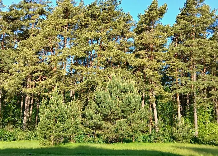 Apartment By The Baltic Sea Palanga