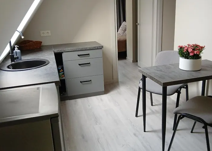 By The Baltic Sea Palanga