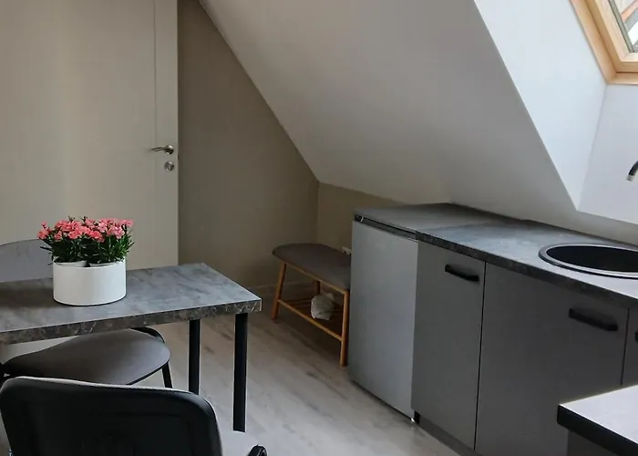 By The Baltic Sea Palanga