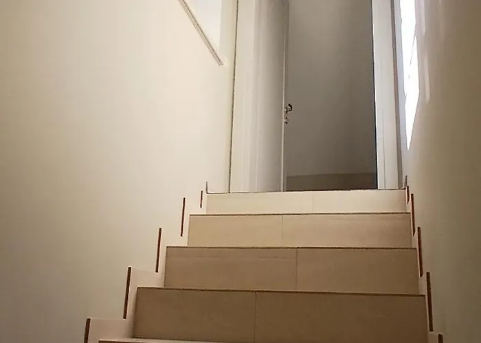 By The Baltic Sea Palanga