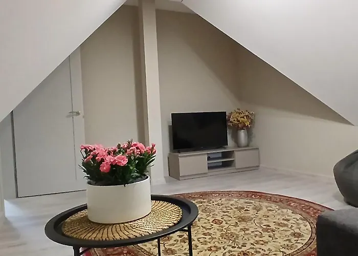 By The Baltic Sea Palanga