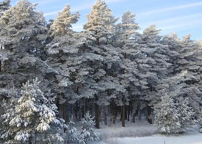 By The Baltic Sea Palanga